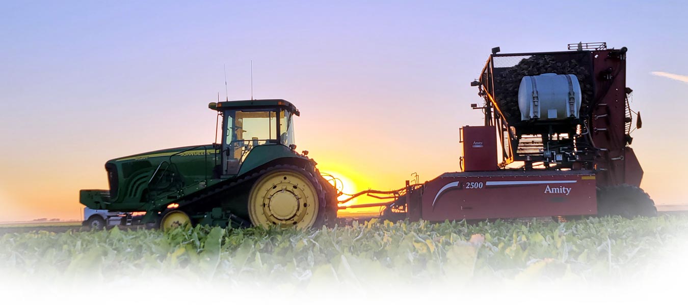 Sugar Journal Magazine